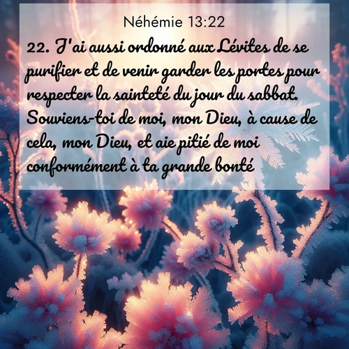 Segond21 Néhémie  ; image nature: image avec le verset biblique :J&#039;ai aussi ordonné aux Lévites de se purifier et de venir garder les portes pour respecter la sainteté du jour du sabbat. Souviens-toi de moi, mon Dieu, à cause de cela, mon Dieu, et aie pitié de moi conformément à ta grande bonté! ;  ; 13:22