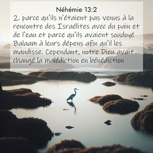 Segond21 Néhémie  ; image nature: image avec le verset biblique :parce qu&#039;ils n&#039;étaient pas venus à la rencontre des Israélites avec du pain et de l&#039;eau et parce qu&#039;ils avaient soudoyé Balaam à leurs dépens afin qu&#039;il les maudisse. Cependant, notre Dieu avait changé la malédiction en bénédiction. ;  ; 13:2
