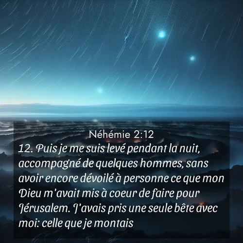Segond21 Néhémie  ; image nature: image avec le verset biblique :Puis je me suis levé pendant la nuit, accompagné de quelques hommes, sans avoir encore dévoilé à personne ce que mon Dieu m&#039;avait mis à coeur de faire pour Jérusalem. J&#039;avais pris une seule bête avec moi: celle que je montais. ;  ; 2:12