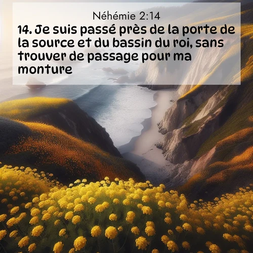 Segond21 Néhémie  ; image nature: image avec le verset biblique :Je suis passé près de la porte de la source et du bassin du roi, sans trouver de passage pour ma monture. ;  ; 2:14