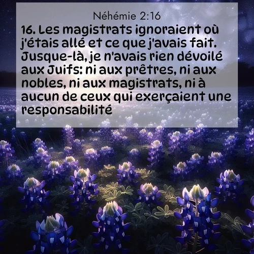 Segond21 Néhémie  ; image nature: image avec le verset biblique :Les magistrats ignoraient où j&#039;étais allé et ce que j&#039;avais fait. Jusque-là, je n&#039;avais rien dévoilé aux Juifs: ni aux prêtres, ni aux nobles, ni aux magistrats, ni à aucun de ceux qui exerçaient une responsabilité. ;  ; 2:16