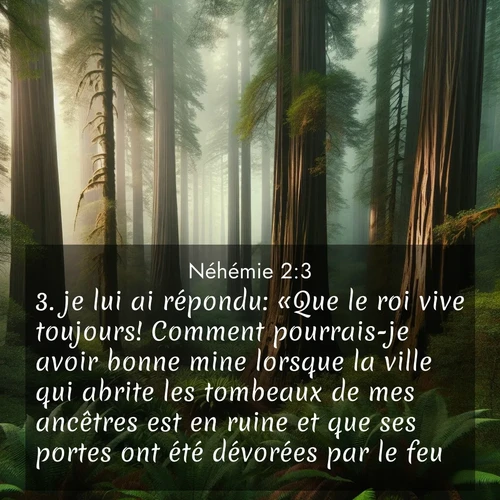 Segond21 Néhémie  ; image nature: image avec le verset biblique :je lui ai répondu: «Que le roi vive toujours! Comment pourrais-je avoir bonne mine lorsque la ville qui abrite les tombeaux de mes ancêtres est en ruine et que ses portes ont été dévorées par le feu?» ;  ; 2:3