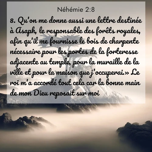 Segond21 Néhémie  ; image nature: image avec le verset biblique :Qu&#039;on me donne aussi une lettre destinée à Asaph, le responsable des forêts royales, afin qu&#039;il me fournisse le bois de charpente nécessaire pour les portes de la forteresse adjacente au temple, pour la muraille de la ville et pour la maison que j&#039;occuperai.» Le roi m&#039;a accordé tout cela car la bonne main de mon Dieu reposait sur moi. ;  ; 2:8