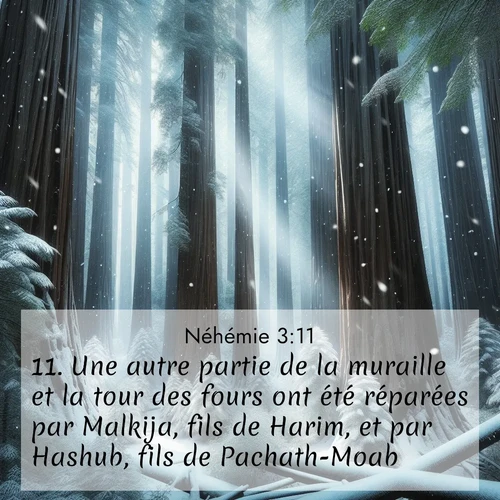 Segond21 Néhémie  ; image nature: image avec le verset biblique :Une autre partie de la muraille et la tour des fours ont été réparées par Malkija, fils de Harim, et par Hashub, fils de Pachath-Moab. ;  ; 3:11