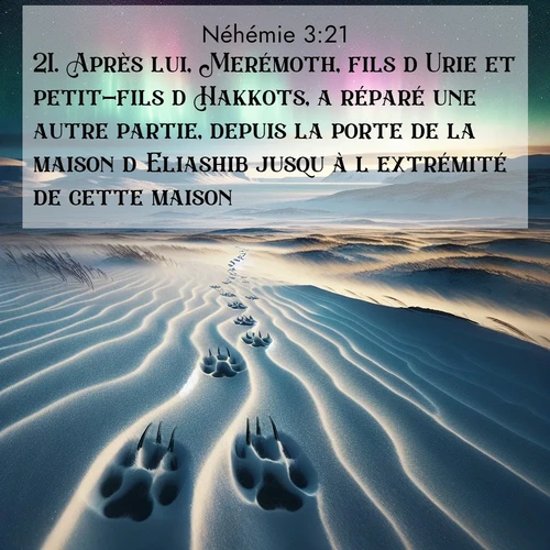 Segond21 Néhémie  ; image nature: image avec le verset biblique :Après lui, Merémoth, fils d&#039;Urie et petit-fils d&#039;Hakkots, a réparé une autre partie, depuis la porte de la maison d&#039;Eliashib jusqu&#039;à l&#039;extrémité de cette maison. ;  ; 3:21