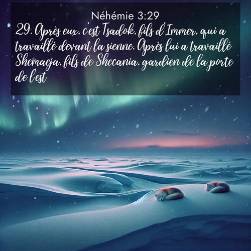 Segond21 Néhémie  ; image nature: image avec le verset biblique :Après eux, c&#039;est Tsadok, fils d&#039;Immer, qui a travaillé devant la sienne. Après lui a travaillé Shemaeja, fils de Shecania, gardien de la porte de l&#039;est. ;  ; 3:29