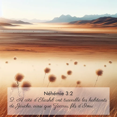 Segond21 Néhémie  ; image nature: image avec le verset biblique :A côté d&#039;Eliashib ont travaillé les habitants de Jéricho, ainsi que Zaccur, fils d&#039;Imri. ;  ; 3:2