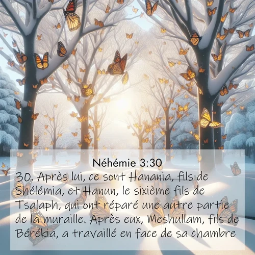 Segond21 Néhémie  ; image nature: image avec le verset biblique :Après lui, ce sont Hanania, fils de Shélémia, et Hanun, le sixième fils de Tsalaph, qui ont réparé une autre partie de la muraille. Après eux, Meshullam, fils de Bérékia, a travaillé en face de sa chambre. ;  ; 3:30