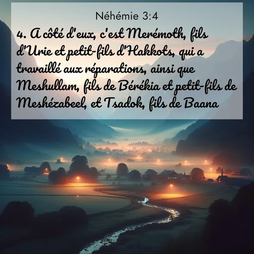 Segond21 Néhémie  ; image nature: image avec le verset biblique :A côté d&#039;eux, c&#039;est Merémoth, fils d&#039;Urie et petit-fils d&#039;Hakkots, qui a travaillé aux réparations, ainsi que Meshullam, fils de Bérékia et petit-fils de Meshézabeel, et Tsadok, fils de Baana. ;  ; 3:4