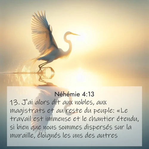 Segond21 Néhémie  ; image nature: image avec le verset biblique :J&#039;ai alors dit aux nobles, aux magistrats et au reste du peuple: «Le travail est immense et le chantier étendu, si bien que nous sommes dispersés sur la muraille, éloignés les uns des autres. ;  ; 4:13