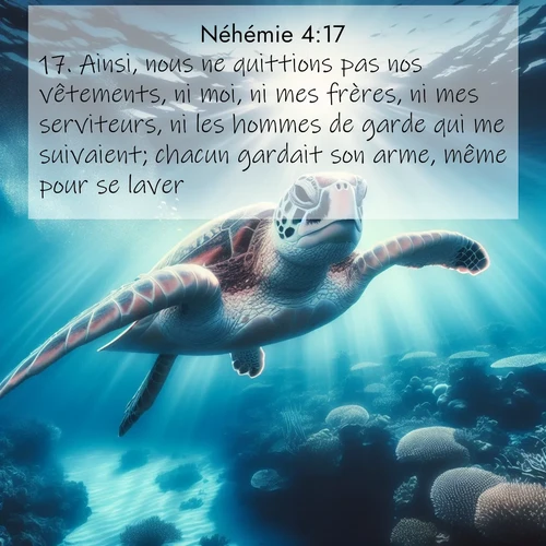 Segond21 Néhémie  ; image nature: image avec le verset biblique :Ainsi, nous ne quittions pas nos vêtements, ni moi, ni mes frères, ni mes serviteurs, ni les hommes de garde qui me suivaient; chacun gardait son arme, même pour se laver. ;  ; 4:17