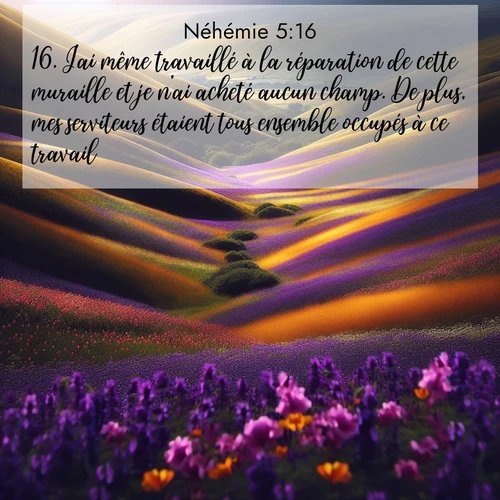 Segond21 Néhémie  ; image nature: image avec le verset biblique :J&#039;ai même travaillé à la réparation de cette muraille et je n&#039;ai acheté aucun champ. De plus, mes serviteurs étaient tous ensemble occupés à ce travail. ;  ; 5:16