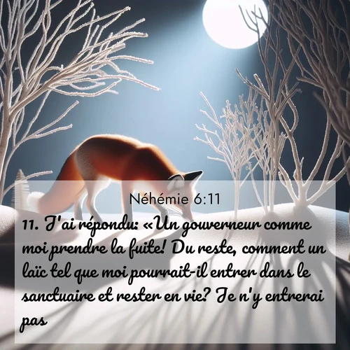 Segond21 Néhémie  ; image nature: image avec le verset biblique :J&#039;ai répondu: «Un gouverneur comme moi prendre la fuite! Du reste, comment un laïc tel que moi pourrait-il entrer dans le sanctuaire et rester en vie? Je n&#039;y entrerai pas.» ;  ; 6:11