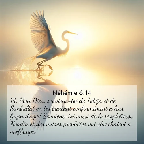 Segond21 Néhémie  ; image nature: image avec le verset biblique :Mon Dieu, souviens-toi de Tobija et de Sanballat en les traitant conformément à leur façon d&#039;agir! Souviens-toi aussi de la prophétesse Noadia et des autres prophètes qui cherchaient à m&#039;effrayer! ;  ; 6:14