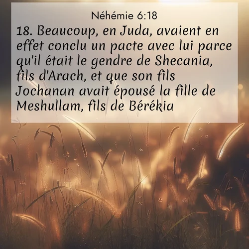 Segond21 Néhémie  ; image nature: image avec le verset biblique :Beaucoup, en Juda, avaient en effet conclu un pacte avec lui parce qu&#039;il était le gendre de Shecania, fils d&#039;Arach, et que son fils Jochanan avait épousé la fille de Meshullam, fils de Bérékia. ;  ; 6:18