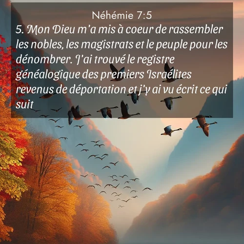 Segond21 Néhémie  ; image nature: image avec le verset biblique :Mon Dieu m&#039;a mis à coeur de rassembler les nobles, les magistrats et le peuple pour les dénombrer. J&#039;ai trouvé le registre généalogique des premiers Israélites revenus de déportation et j&#039;y ai vu écrit ce qui suit: ;  ; 7:5