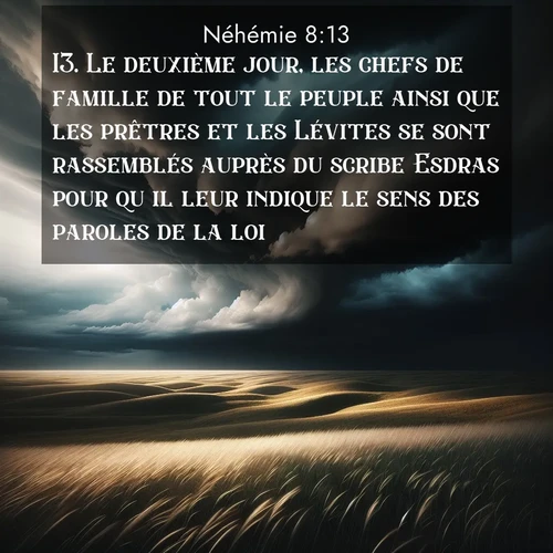 Segond21 Néhémie  ; image nature: image avec le verset biblique :Le deuxième jour, les chefs de famille de tout le peuple ainsi que les prêtres et les Lévites se sont rassemblés auprès du scribe Esdras pour qu&#039;il leur indique le sens des paroles de la loi. ;  ; 8:13
