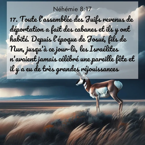 Segond21 Néhémie  ; image nature: image avec le verset biblique :Toute l&#039;assemblée des Juifs revenus de déportation a fait des cabanes et ils y ont habité. Depuis l&#039;époque de Josué, fils de Nun, jusqu&#039;à ce jour-là, les Israélites n&#039;avaient jamais célébré une pareille fête et il y a eu de très grandes réjouissances. ;  ; 8:17