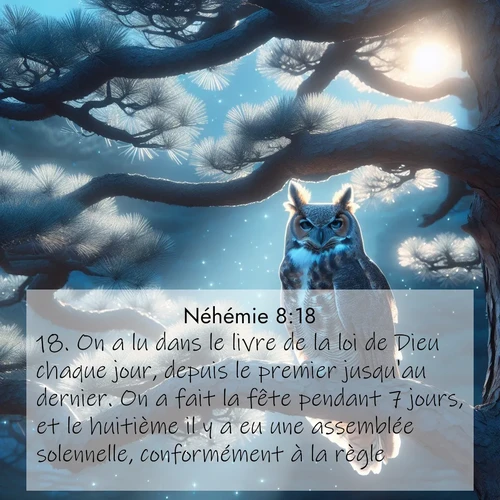 Segond21 Néhémie  ; image nature: image avec le verset biblique :On a lu dans le livre de la loi de Dieu chaque jour, depuis le premier jusqu&#039;au dernier. On a fait la fête pendant 7 jours, et le huitième il y a eu une assemblée solennelle, conformément à la règle. ;  ; 8:18