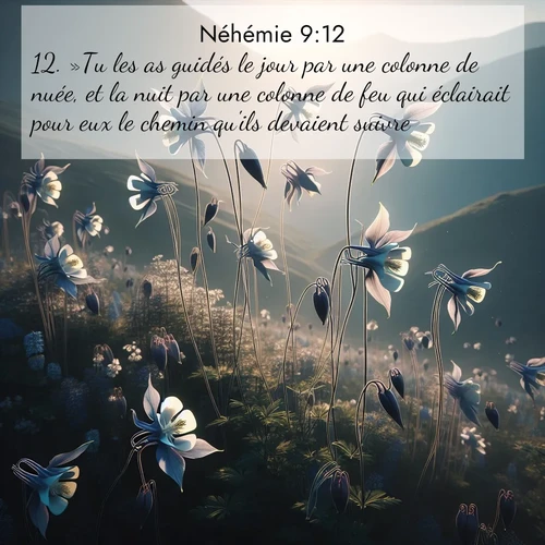 Segond21 Néhémie  ; image nature: image avec le verset biblique :»Tu les as guidés le jour par une colonne de nuée, et la nuit par une colonne de feu qui éclairait pour eux le chemin qu&#039;ils devaient suivre. ;  ; 9:12