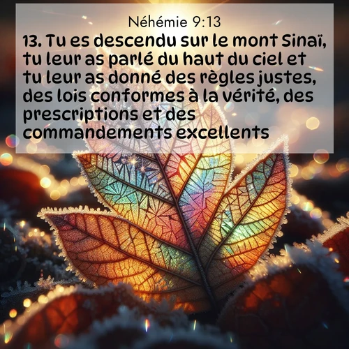 Segond21 Néhémie  ; image nature: image avec le verset biblique :Tu es descendu sur le mont Sinaï, tu leur as parlé du haut du ciel et tu leur as donné des règles justes, des lois conformes à la vérité, des prescriptions et des commandements excellents. ;  ; 9:13