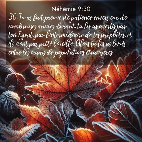 Segond21 Néhémie  ; image nature: image avec le verset biblique :Tu as fait preuve de patience envers eux de nombreuses années durant, tu les as avertis par ton Esprit, par l&#039;intermédiaire de tes prophètes, et ils n&#039;ont pas prêté l&#039;oreille. Alors tu les as livrés entre les mains de populations étrangères. ;  ; 9:30