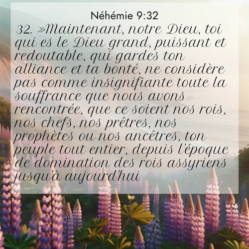 Segond21 Néhémie  ; image nature: image avec le verset biblique :»Maintenant, notre Dieu, toi qui es le Dieu grand, puissant et redoutable, qui gardes ton alliance et ta bonté, ne considère pas comme insignifiante toute la souffrance que nous avons rencontrée, que ce soient nos rois, nos chefs, nos prêtres, nos prophètes ou nos ancêtres, ton peuple tout entier, depuis l&#039;époque de domination des rois assyriens jusqu&#039;à aujourd&#039;hui! ;  ; 9:32