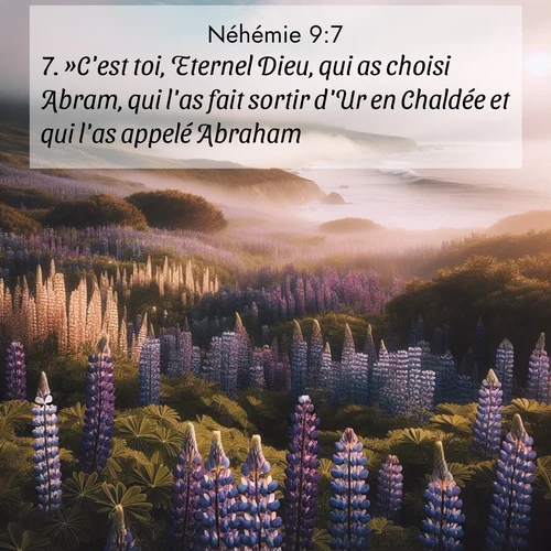 Segond21 Néhémie  ; image nature: image avec le verset biblique :»C&#039;est toi, Eternel Dieu, qui as choisi Abram, qui l&#039;as fait sortir d&#039;Ur en Chaldée et qui l&#039;as appelé Abraham. ;  ; 9:7