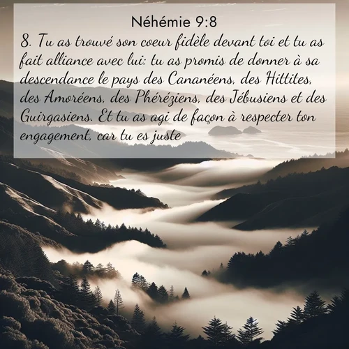 Segond21 Néhémie  ; image nature: image avec le verset biblique :Tu as trouvé son coeur fidèle devant toi et tu as fait alliance avec lui: tu as promis de donner à sa descendance le pays des Cananéens, des Hittites, des Amoréens, des Phéréziens, des Jébusiens et des Guirgasiens. Et tu as agi de façon à respecter ton engagement, car tu es juste. ;  ; 9:8