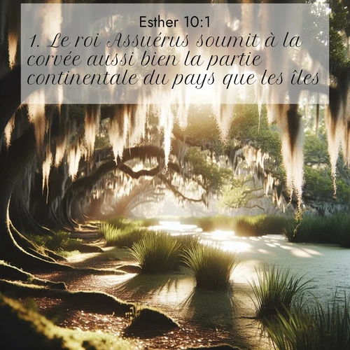 Segond21 Esther  ; image nature: image avec le verset biblique :Le roi Assuérus soumit à la corvée aussi bien la partie continentale du pays que les îles. ;  ; 10:1
