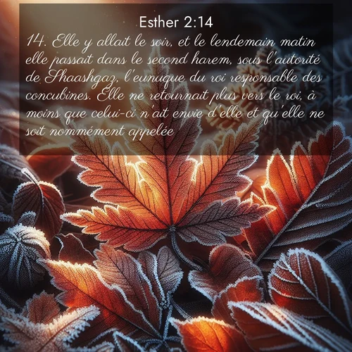 Segond21 Esther  ; image nature: image avec le verset biblique :Elle y allait le soir, et le lendemain matin elle passait dans le second harem, sous l&#039;autorité de Shaashgaz, l&#039;eunuque du roi responsable des concubines. Elle ne retournait plus vers le roi, à moins que celui-ci n&#039;ait envie d&#039;elle et qu&#039;elle ne soit nommément appelée. ;  ; 2:14