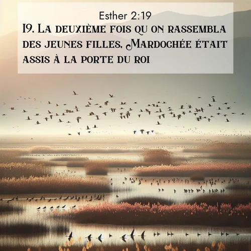 Segond21 Esther  ; image nature: image avec le verset biblique :La deuxième fois qu&#039;on rassembla des jeunes filles, Mardochée était assis à la porte du roi. ;  ; 2:19