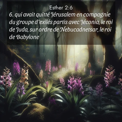 Segond21 Esther  ; image nature: image avec le verset biblique :qui avait quitté Jérusalem en compagnie du groupe d&#039;exilés partis avec Jéconia, le roi de Juda, sur ordre de Nebucadnetsar, le roi de Babylone. ;  ; 2:6