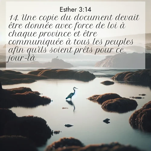 Segond21 Esther  ; image nature: image avec le verset biblique :Une copie du document devait être donnée avec force de loi à chaque province et être communiquée à tous les peuples afin qu&#039;ils soient prêts pour ce jour-là. ;  ; 3:14