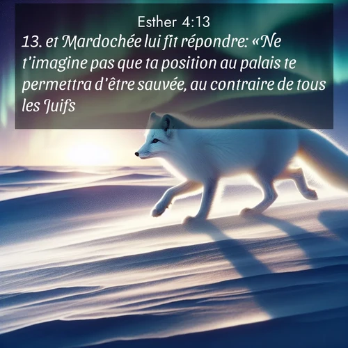 Segond21 Esther  ; image nature: image avec le verset biblique :et Mardochée lui fit répondre: «Ne t&#039;imagine pas que ta position au palais te permettra d&#039;être sauvée, au contraire de tous les Juifs. ;  ; 4:13