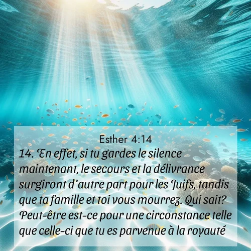 Segond21 Esther  ; image nature: image avec le verset biblique :En effet, si tu gardes le silence maintenant, le secours et la délivrance surgiront d&#039;autre part pour les Juifs, tandis que ta famille et toi vous mourrez. Qui sait? Peut-être est-ce pour une circonstance telle que celle-ci que tu es parvenue à la royauté.» ;  ; 4:14
