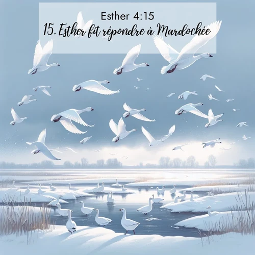 Segond21 Esther  ; image nature: image avec le verset biblique :Esther fit répondre à Mardochée: ;  ; 4:15