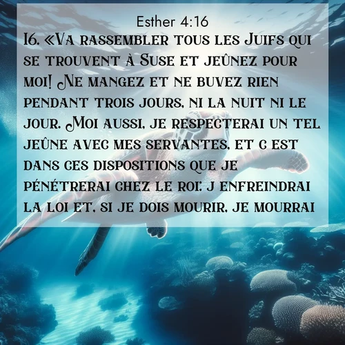 Segond21 Esther  ; image nature: image avec le verset biblique :«Va rassembler tous les Juifs qui se trouvent à Suse et jeûnez pour moi! Ne mangez et ne buvez rien pendant trois jours, ni la nuit ni le jour. Moi aussi, je respecterai un tel jeûne avec mes servantes, et c&#039;est dans ces dispositions que je pénétrerai chez le roi: j&#039;enfreindrai la loi et, si je dois mourir, je mourrai.» ;  ; 4:16