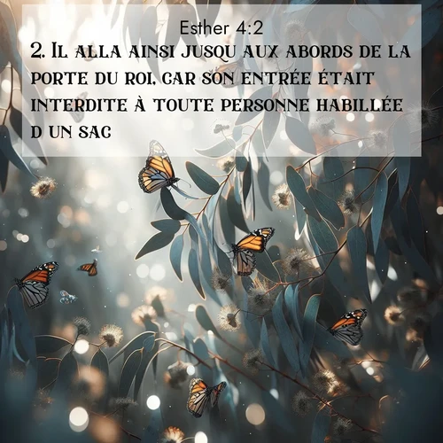 Segond21 Esther  ; image nature: image avec le verset biblique :Il alla ainsi jusqu&#039;aux abords de la porte du roi, car son entrée était interdite à toute personne habillée d&#039;un sac. ;  ; 4:2