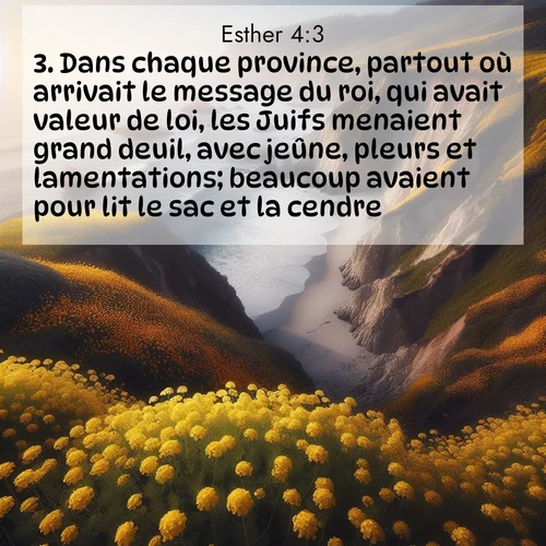 Segond21 Esther  ; image nature: image avec le verset biblique :Dans chaque province, partout où arrivait le message du roi, qui avait valeur de loi, les Juifs menaient grand deuil, avec jeûne, pleurs et lamentations; beaucoup avaient pour lit le sac et la cendre. ;  ; 4:3