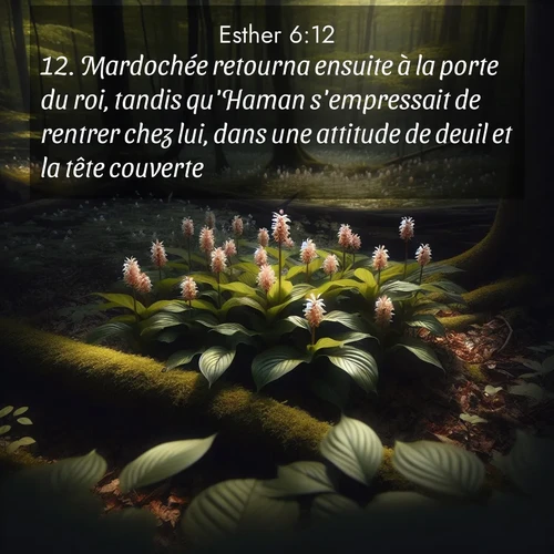 Segond21 Esther  ; image nature: image avec le verset biblique :Mardochée retourna ensuite à la porte du roi, tandis qu&#039;Haman s&#039;empressait de rentrer chez lui, dans une attitude de deuil et la tête couverte. ;  ; 6:12