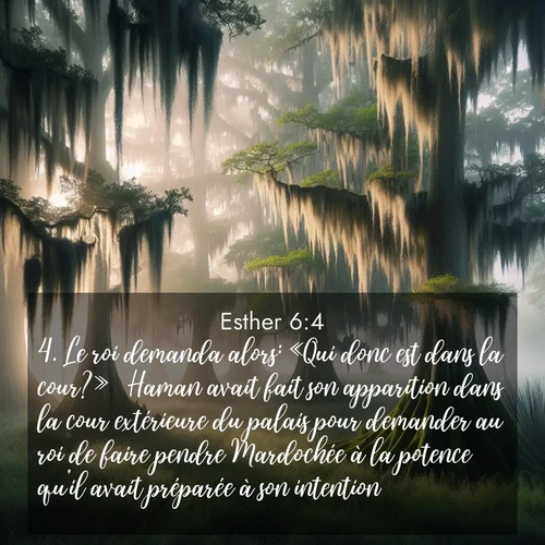 Segond21 Esther  ; image nature: image avec le verset biblique :Le roi demanda alors: «Qui donc est dans la cour?»  Haman avait fait son apparition dans la cour extérieure du palais pour demander au roi de faire pendre Mardochée à la potence qu&#039;il avait préparée à son intention.  ;  ; 6:4