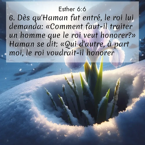 Segond21 Esther  ; image nature: image avec le verset biblique :Dès qu&#039;Haman fut entré, le roi lui demanda: «Comment faut-il traiter un homme que le roi veut honorer?» Haman se dit: «Qui d&#039;autre, à part moi, le roi voudrait-il honorer?» ;  ; 6:6