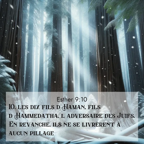 Segond21 Esther  ; image nature: image avec le verset biblique :les dix fils d&#039;Haman, fils d&#039;Hammedatha, l&#039;adversaire des Juifs. En revanche, ils ne se livrèrent à aucun pillage. ;  ; 9:10