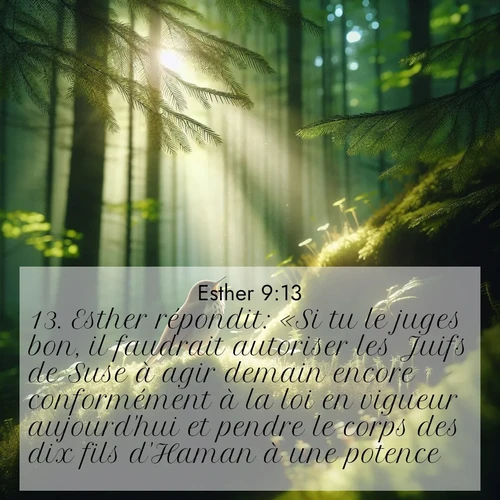 Segond21 Esther  ; image nature: image avec le verset biblique :Esther répondit: «Si tu le juges bon, il faudrait autoriser les Juifs de Suse à agir demain encore conformément à la loi en vigueur aujourd&#039;hui et pendre le corps des dix fils d&#039;Haman à une potence.» ;  ; 9:13