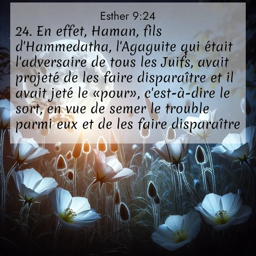 Segond21 Esther  ; image nature: image avec le verset biblique :En effet, Haman, fils d&#039;Hammedatha, l&#039;Agaguite qui était l&#039;adversaire de tous les Juifs, avait projeté de les faire disparaître et il avait jeté le «pour», c&#039;est-à-dire le sort, en vue de semer le trouble parmi eux et de les faire disparaître. ;  ; 9:24