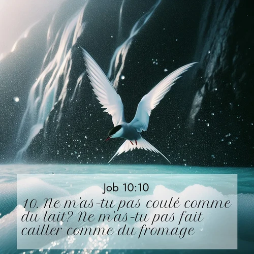 Segond21 Job  ; image nature: image avec le verset biblique :Ne m&#039;as-tu pas coulé comme du lait? Ne m&#039;as-tu pas fait cailler comme du fromage? ;  ; 10:10