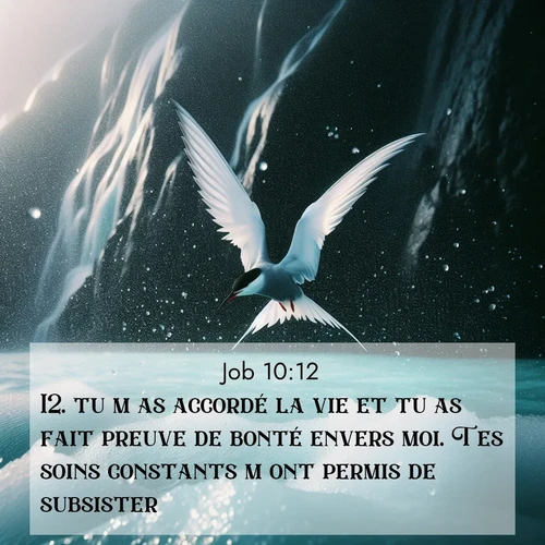 Segond21 Job  ; image nature: image avec le verset biblique :tu m&#039;as accordé la vie et tu as fait preuve de bonté envers moi. Tes soins constants m&#039;ont permis de subsister. ;  ; 10:12