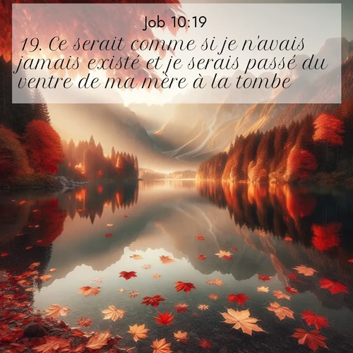 Segond21 Job  ; image nature: image avec le verset biblique :Ce serait comme si je n&#039;avais jamais existé et je serais passé du ventre de ma mère à la tombe. ;  ; 10:19