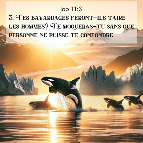 Segond21 Job  ; image nature: image avec le verset biblique :Tes bavardages feront-ils taire les hommes? Te moqueras-tu sans que personne ne puisse te confondre? ;  ; 11:3